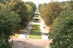 Widok na Park Śląski z Elki