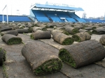 Podgrzewany „dywan” za 3,5 mln  