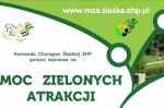 Moc zielonych atrakcji w Parku Śląskim