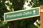 Rada Miasta podjęła uchwałę w sprawie promenady Ziętka