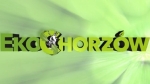 Miliony dotacji na rowerową infrastrukturę | TV