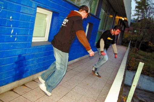 Butki shufflera