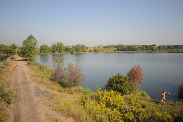 Wiosną Żabie Doły budzą się do życia. Powstanie tu park?