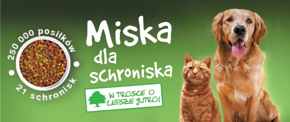 Pełna miska dla schroniska