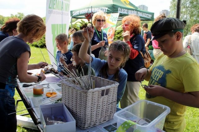 Eko Piknik | Fotoreportaż