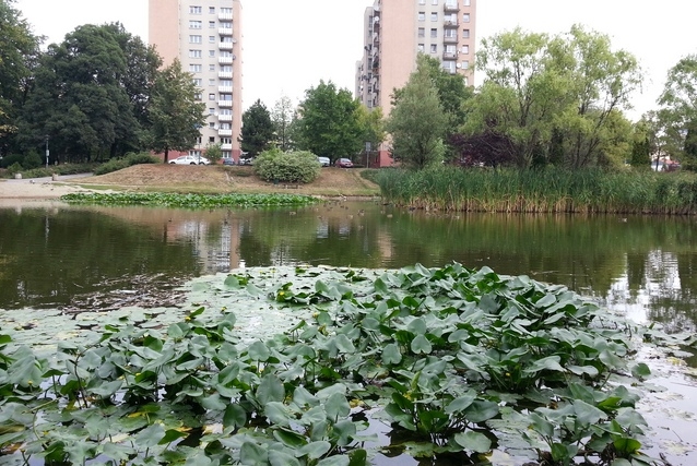 Park Róż - eko oaza | Fotoreportaż