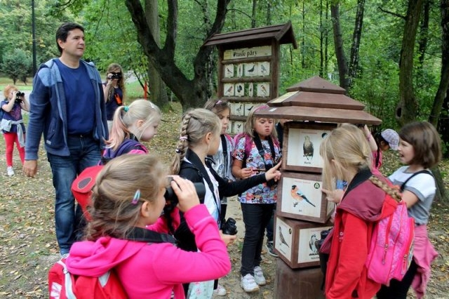 Ścieżka ornitologiczna w Parku Śląskim | Fotoreportaż