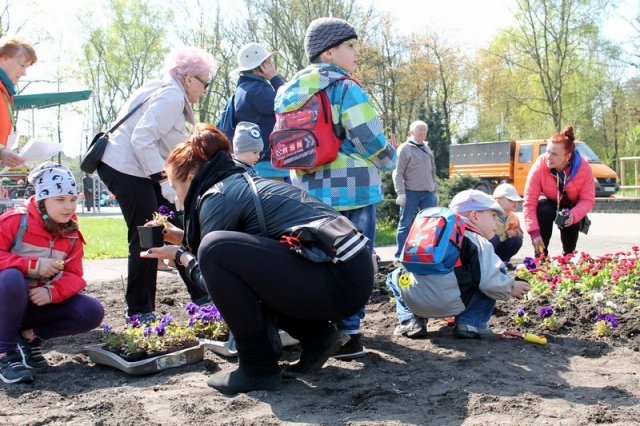 Sadzenie w Parku Śląskim | Fotoreportaż