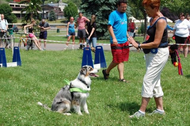 Zwierzynalia 2016  | Fotoreportaż