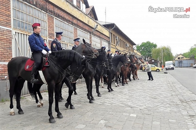 Chorzowska policja ćwiczyła w Budapeszcie. Na koniach