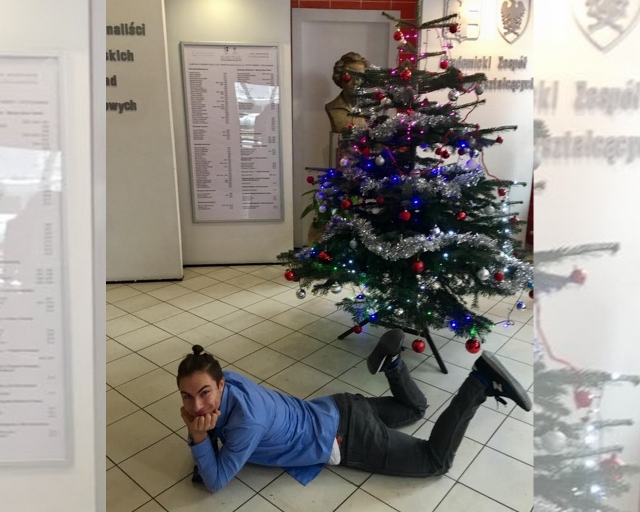Zobacz, jak wyglądają chorzowskie choinki